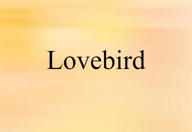 Lovebird (noun) Definition, Meaning & Examples