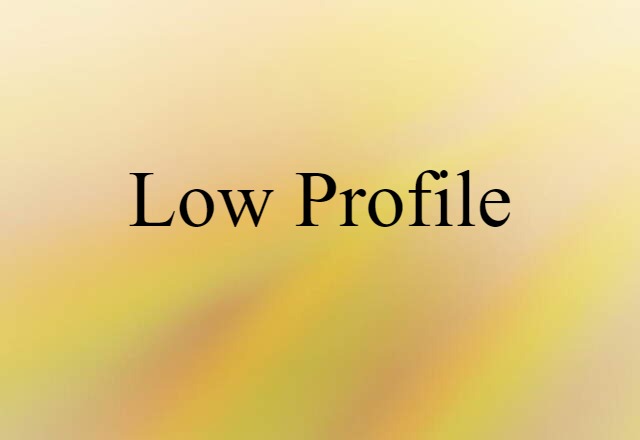 Low Profile (noun) Definition, Meaning & Examples