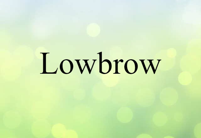 Lowbrow (noun) Definition, Meaning & Examples