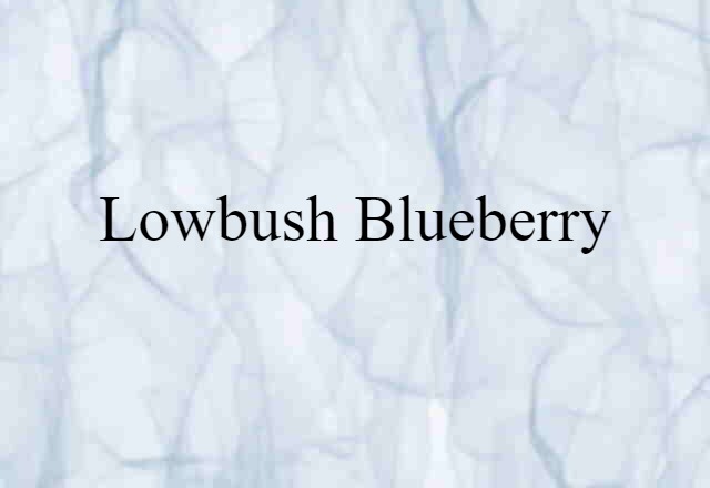 lowbush blueberry