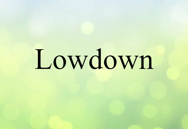 lowdown