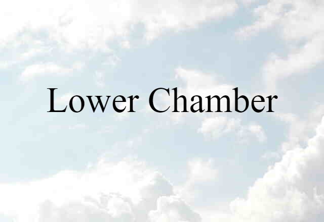 Lower Chamber (noun) Definition, Meaning & Examples