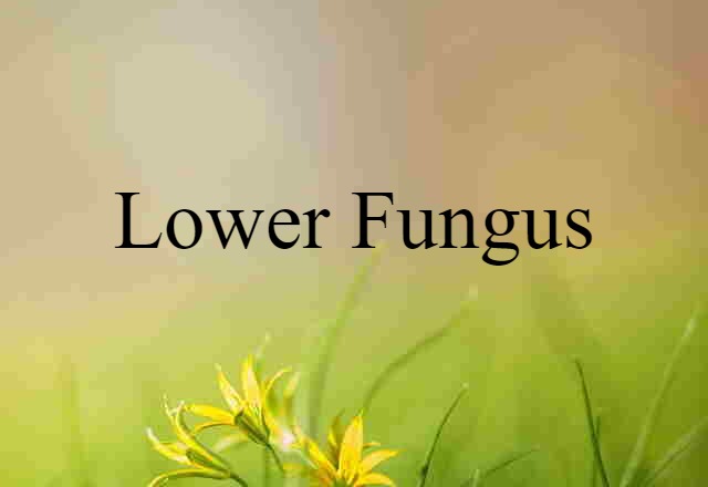 lower fungus