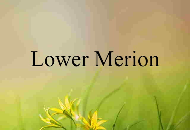 Lower Merion (noun) Definition, Meaning & Examples