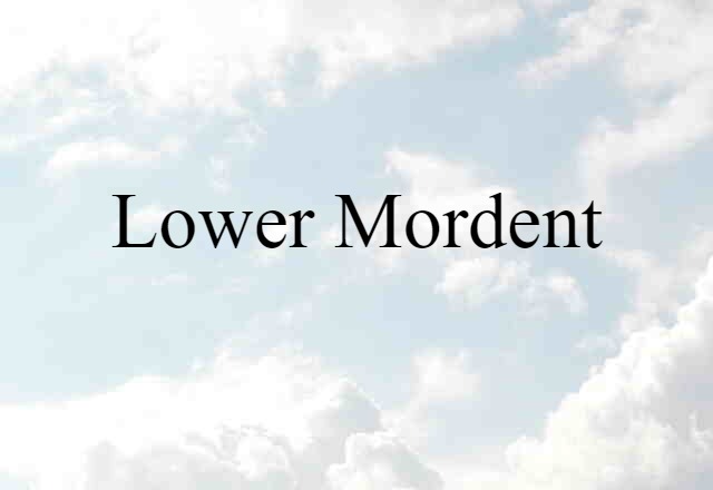 Lower Mordent (noun) Definition, Meaning & Examples