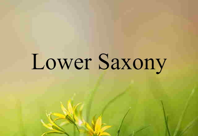 Lower Saxony (noun) Definition, Meaning & Examples