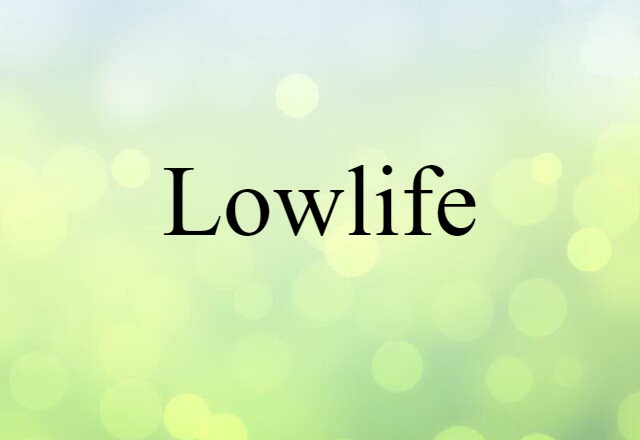 Lowlife (noun) Definition, Meaning & Examples