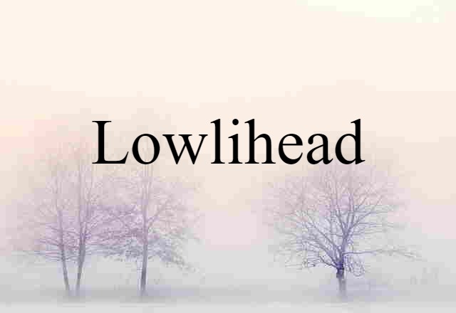 lowlihead