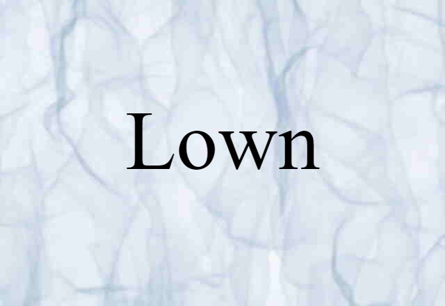 Lown (noun) Definition, Meaning & Examples