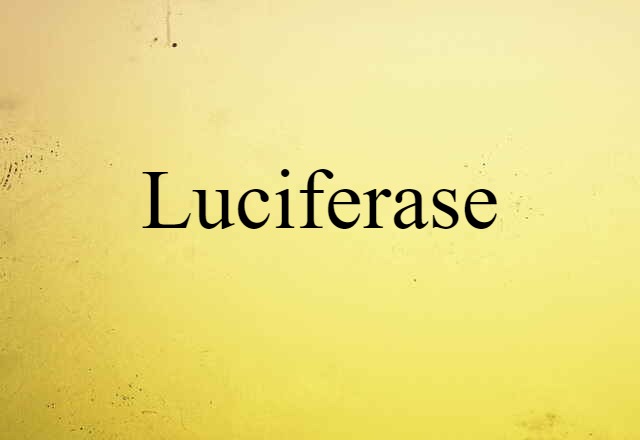 luciferase