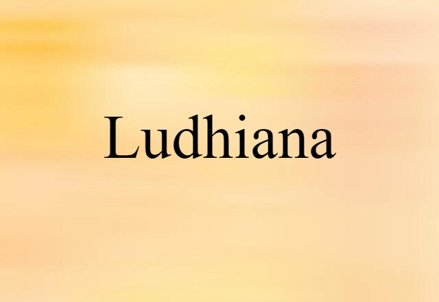 Ludhiana (noun) Definition, Meaning & Examples