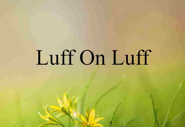 Luff On Luff (noun) Definition, Meaning & Examples