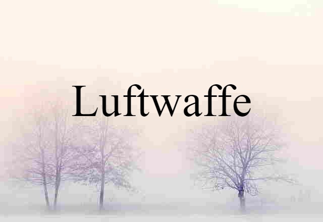 Luftwaffe (noun) Definition, Meaning & Examples