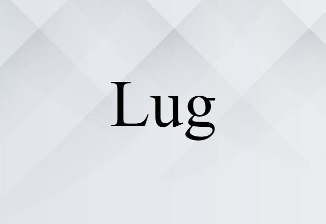 Lug (noun) Definition, Meaning & Examples