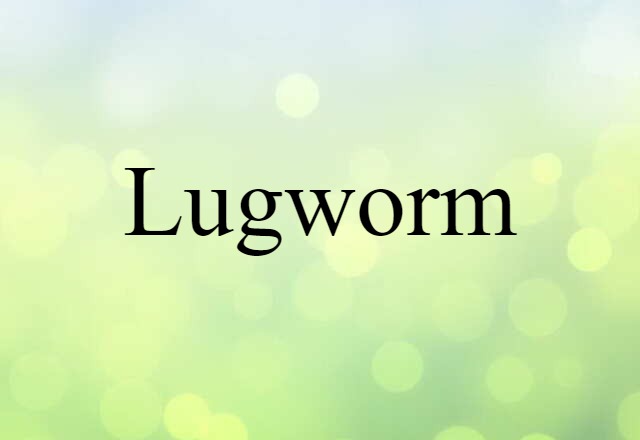 lugworm