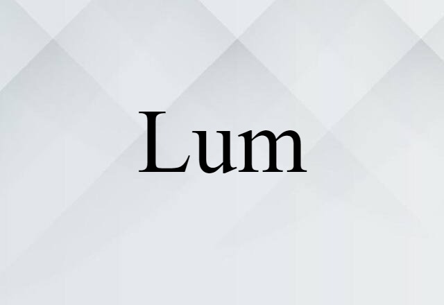 Lum (noun) Definition, Meaning & Examples