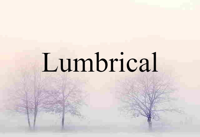 lumbrical