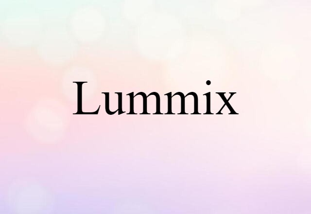 Lummix (noun) Definition, Meaning & Examples