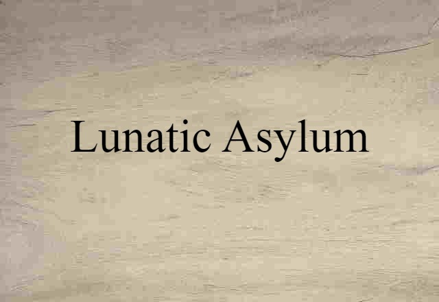 Lunatic Asylum (noun) Definition, Meaning & Examples