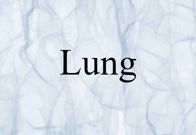 Lung (noun) Definition, Meaning & Examples