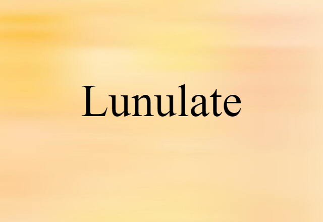 Lunulate (noun) Definition, Meaning & Examples