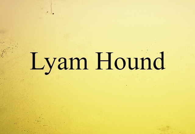 lyam-hound