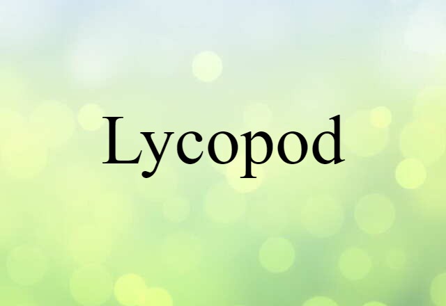 lycopod