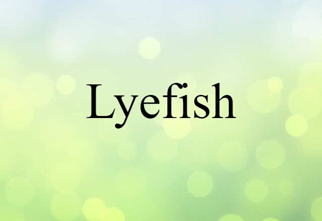 Lyefish (noun) Definition, Meaning & Examples