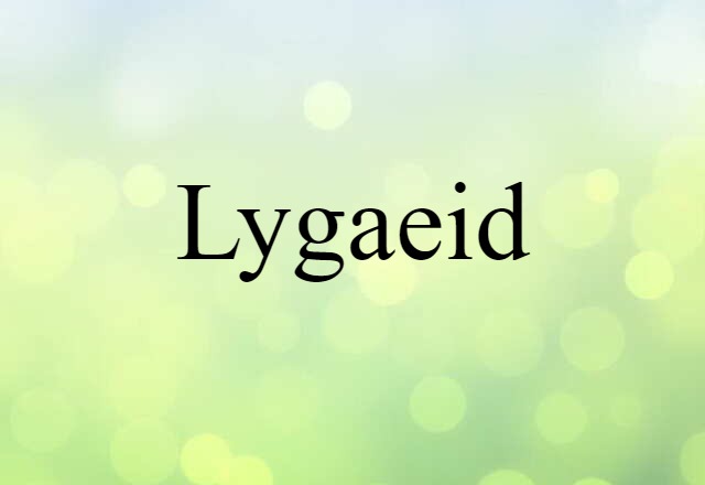 lygaeid