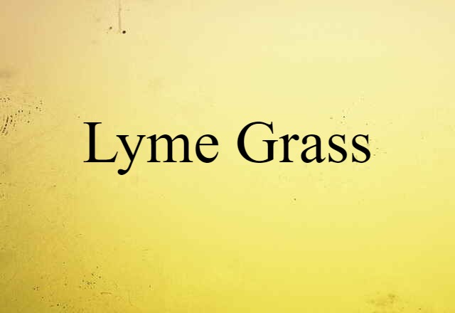 Lyme Grass (noun) Definition, Meaning & Examples