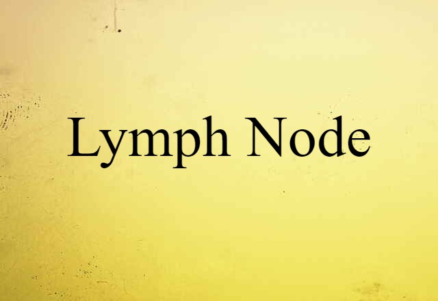 lymph node