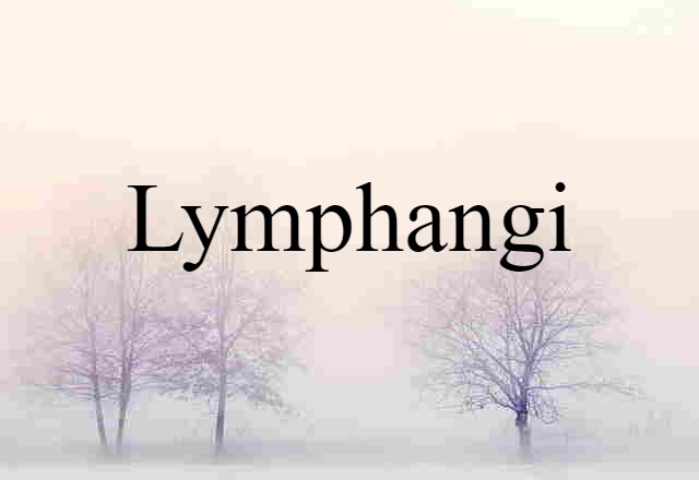 lymphangi