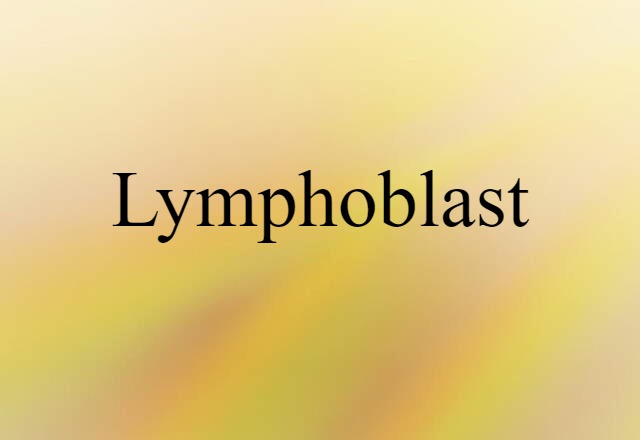 lymphoblast