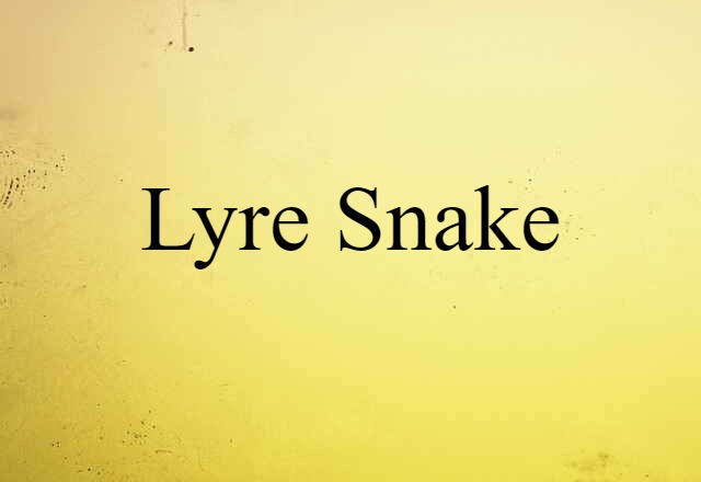 lyre snake