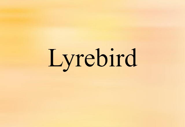 lyrebird