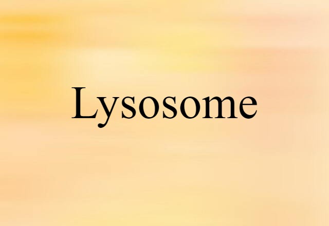 lysosome