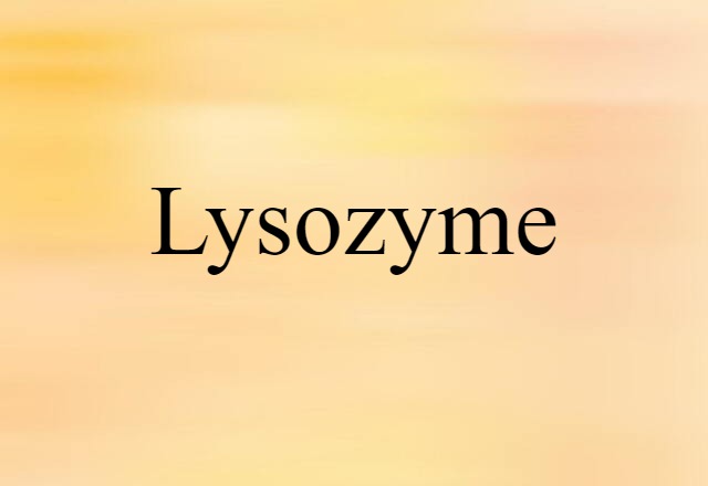 lysozyme