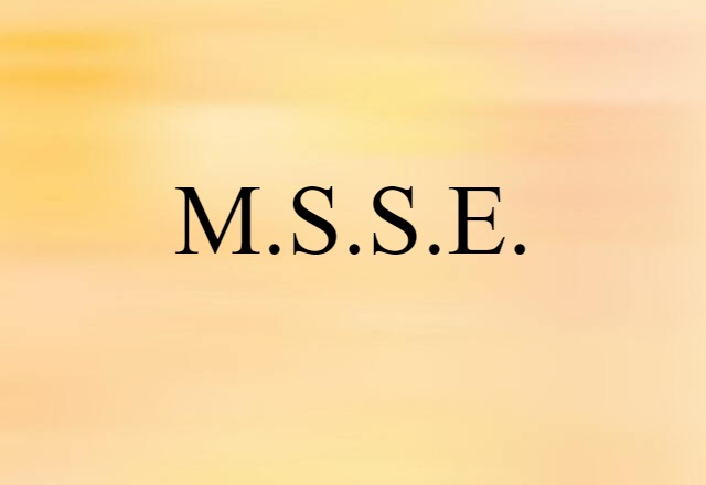 M.S.S.E. (noun) Definition, Meaning & Examples