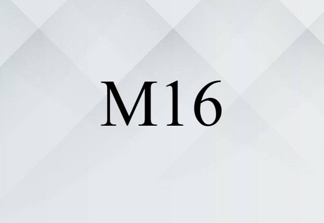 M16 (noun) Definition, Meaning & Examples