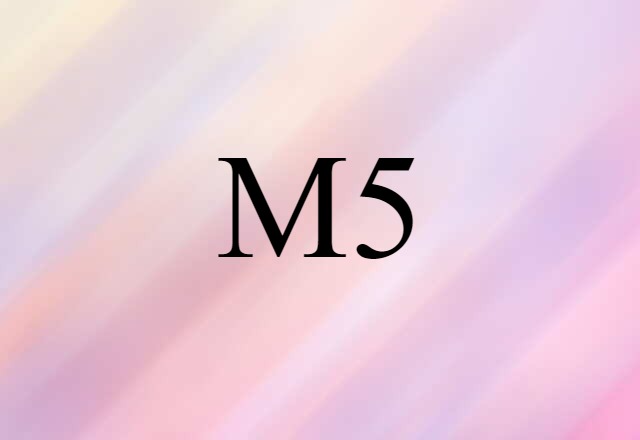 M5