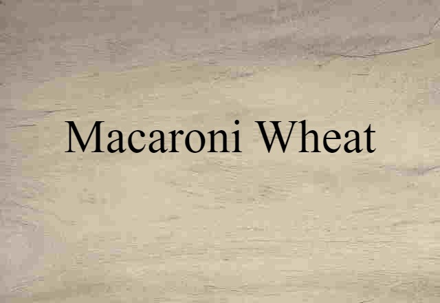 macaroni wheat