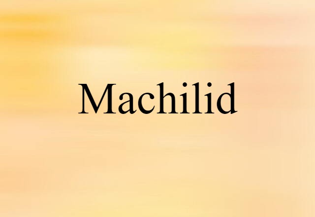 Machilid (noun) Definition, Meaning & Examples