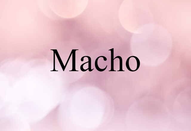 Macho (noun) Definition, Meaning & Examples