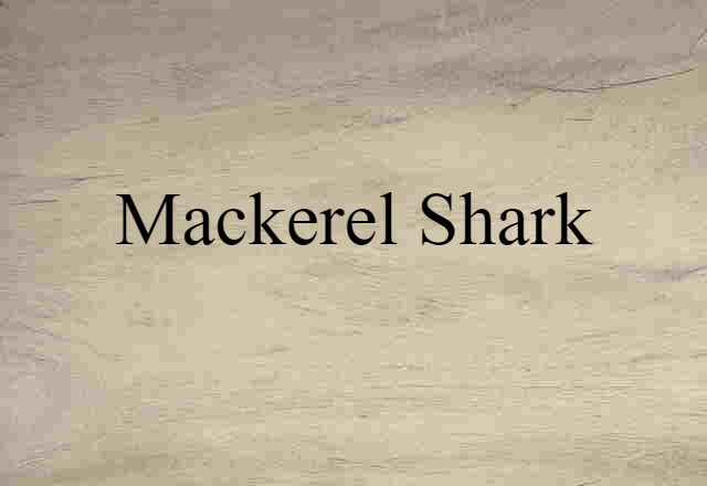 mackerel shark