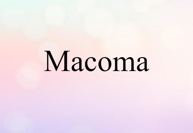 macoma