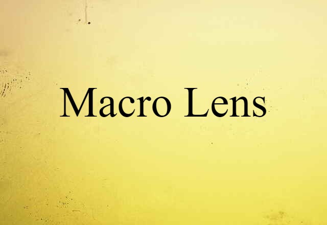 Macro Lens (noun) Definition, Meaning & Examples