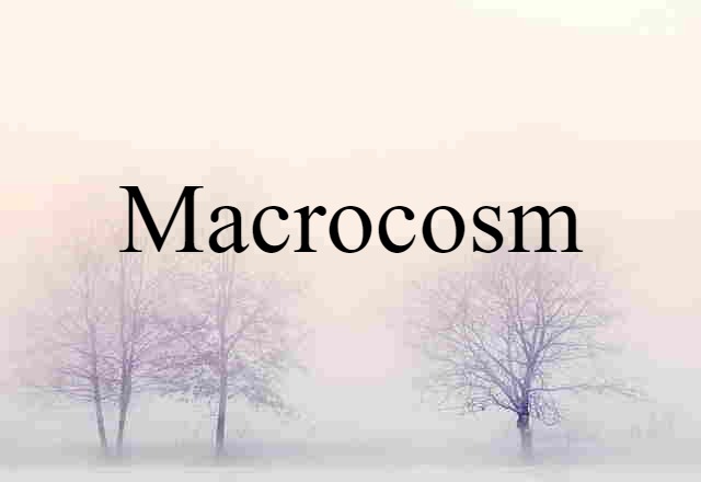 Macrocosm (noun) Definition, Meaning & Examples