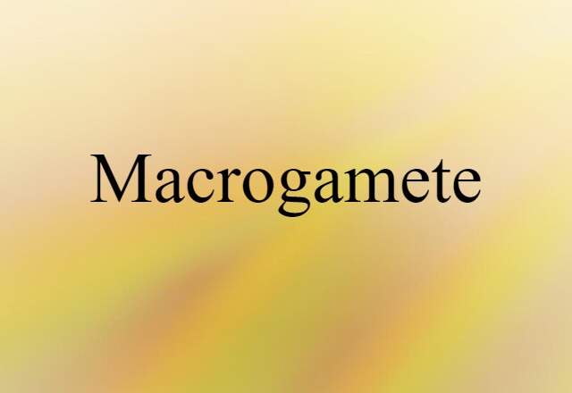 macrogamete