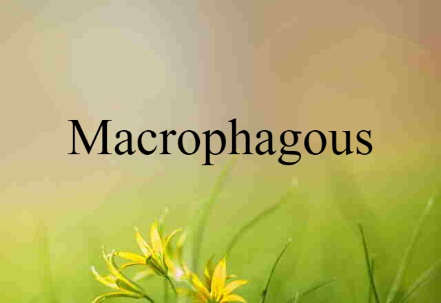 macrophagous