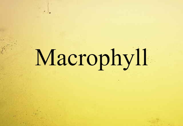 macrophyll